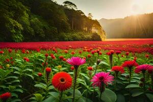 rosso fiori nel un' campo a tramonto. ai-generato foto