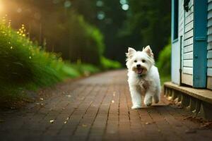 un' bianca cane a piedi giù un' mattone sentiero. ai-generato foto