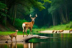 bianca dalla coda cervo nel il foresta. ai-generato foto