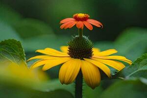 un' singolo giallo fiore con un' rosso centro. ai-generato foto