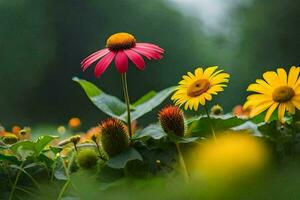 foto sfondo il fiori, natura, il sole, il fiori, il fiori, il fiori,. ai-generato