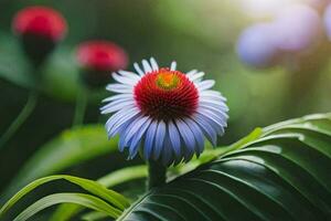 un' fiore con un' rosso centro e bianca petali. ai-generato foto