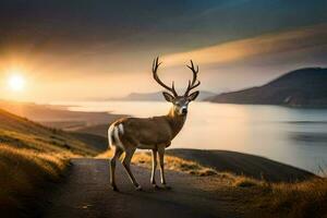 un' cervo sta su il strada a tramonto. ai-generato foto