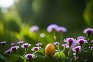 foto sfondo il fiori, il erba, il sole, il fiori, il erba, il sole. ai-generato