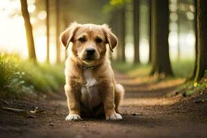 un' cane seduta su un' sporco strada nel il boschi. ai-generato foto