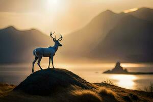 un' cervo sta su un' roccia prospiciente il oceano e montagne. ai-generato foto