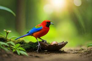 un' colorato uccello è in piedi su un' roccia nel il foresta. ai-generato foto