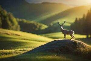 un' cervo sta su un' collina nel il mezzo di un' verde campo. ai-generato foto