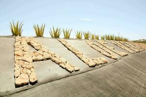 il parole aloe Vera fatto su di rocce e impianti foto