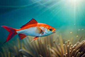 un' pesce nuoto nel il oceano con luce del sole splendente. ai-generato foto