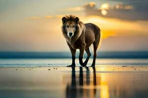 un' Leone a piedi su il spiaggia a tramonto. ai-generato foto