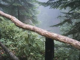ringhiera in legno nella foresta delle montagne del Caucaso