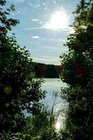 il sole brilla brillantemente al di sopra di un' lago circondato di alberi foto