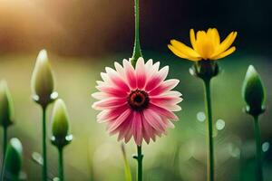 un' rosa e giallo fiore è in piedi nel il erba. ai-generato foto