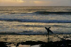 un' surfer passeggiate lungo il litorale a tramonto foto