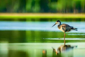 un' uccello in piedi nel il acqua con suo riflessione. ai-generato foto