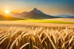 d'oro Grano campo a tramonto nel il montagne. ai-generato foto