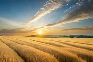 un' campo di Grano è mostrato a tramonto. ai-generato foto