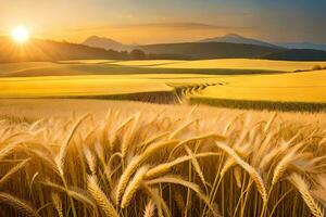 d'oro Grano campo a tramonto. ai-generato foto