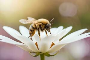 un' ape su un' bianca fiore con sfocato sfondo. ai-generato foto