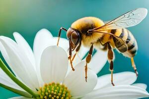 un' ape è in piedi su un' bianca fiore. ai-generato foto