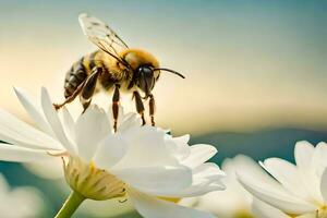 un' ape su un' bianca fiore con un' sole nel il sfondo. ai-generato foto