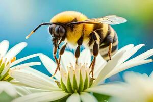 un' ape è in piedi su superiore di un' bianca fiore. ai-generato foto