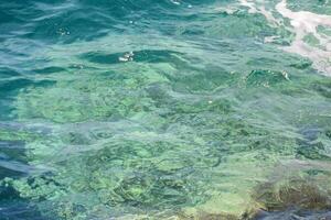 il acqua è chiaro e verde con rocce foto