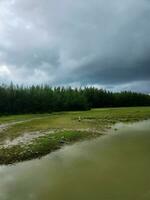 vuoto verde parco su nuvoloso meteoscenico Visualizza di estate foto