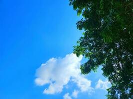 un' blu cielo con nuvole e alberi foto