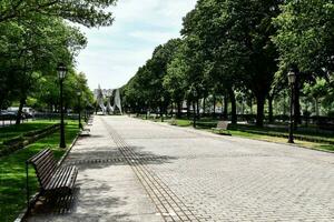 un' parco con panchine e alberi su tutti e due lati foto