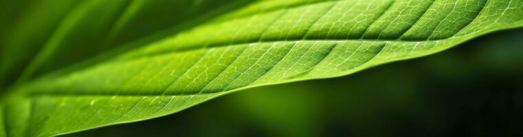 verde foglia natura sfondo. ai generato foto