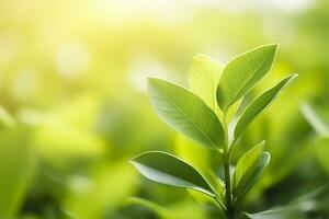 natura di verde foglia nel un' giardino nel estate sotto luce del sole. primavera sfondo. ai generato foto