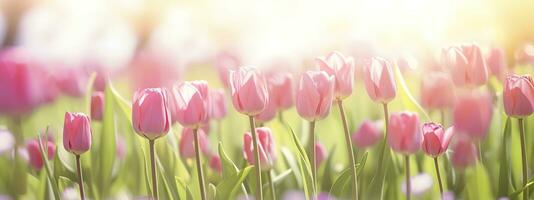 bellissimo rosa tulipano su un' sfocato primavera soleggiato sfondo. generativo ai foto