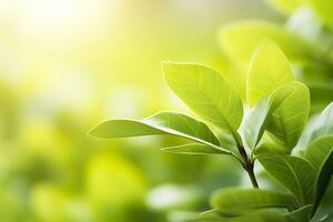 natura di verde foglia nel un' giardino nel estate sotto luce del sole. primavera sfondo. ai generato foto