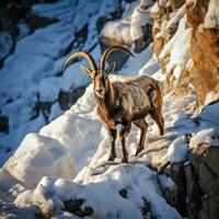 maestoso stambecco arrampicata nel sbalorditivo luce. generativo ai. foto