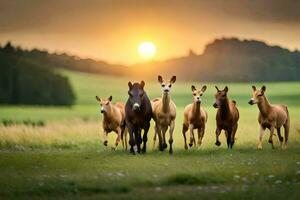 cavalli in esecuzione nel il tramonto. ai-generato foto