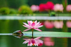 un' rosa loto fiore è galleggiante nel un' stagno. ai-generato foto