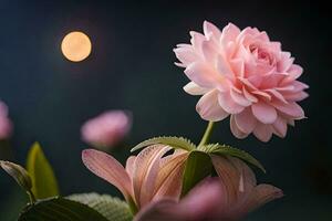 rosa fiori nel il buio con un' pieno Luna. ai-generato foto
