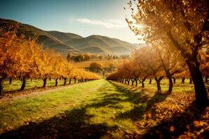 bello autunno frutteto scenario. commerciale appello. ampio testo spazio. ai generativo foto