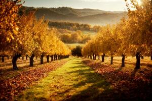 bello autunno frutteto scenario. commerciale appello. ampio testo spazio. ai generativo foto