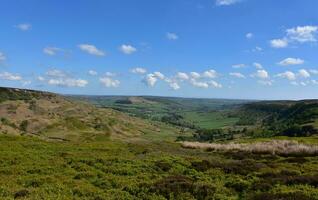 settentrionale yorkshire paesaggio con brughiera e paludi foto