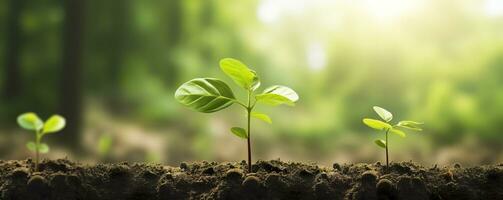 crescita alberi concetto caffè fagiolo piantine natura sfondo bellissimo verde. ai generato foto