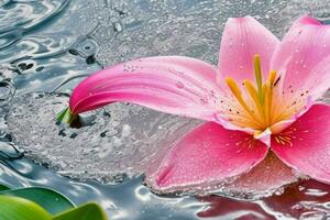 acqua spruzzi su il giglio fiore. sfondo. ai generativo professionista foto