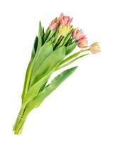 tulipano fiore mazzo isolato su bianca sfondo foto