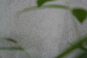 vuoto cemento parete superficie con sfocato verde foglie, sabbia cemento parete sfondo con verde foglia foto