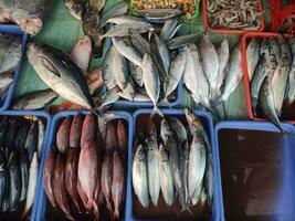 acqua salata pesce e d'acqua dolce pesce scambiato nel tradizionale mercati nel jakarta foto