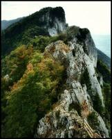 autunno serenità nel Savoia, Francia chartreuse montagne foto