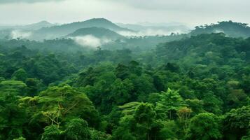 natura del Ghana foresta pluviale ovest ai generato foto