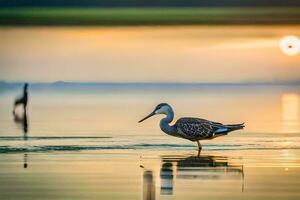 un' uccello in piedi nel il acqua a tramonto. ai-generato foto